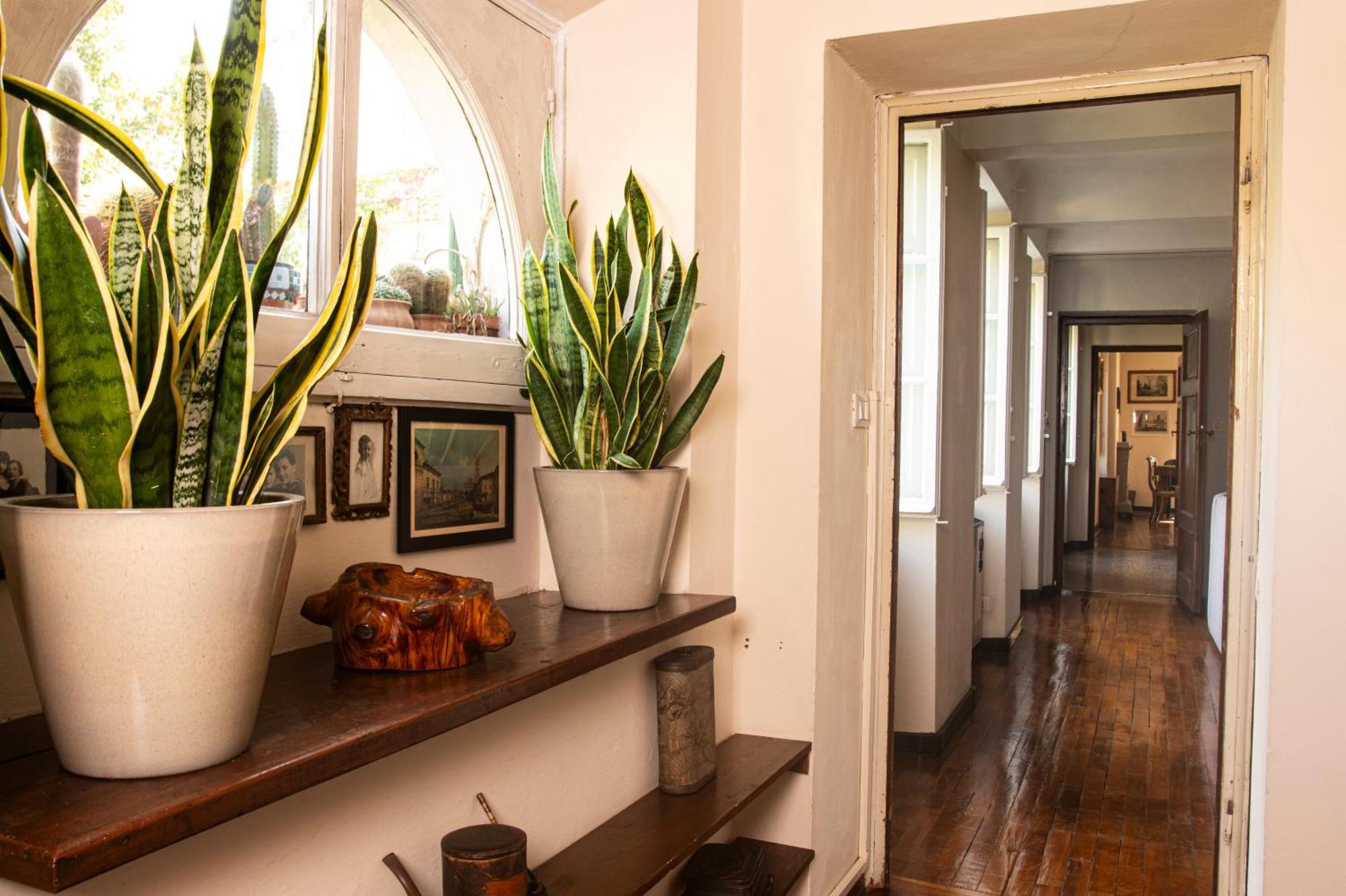 Palazzo Micheletti Lucca Apartment Bagian luar foto